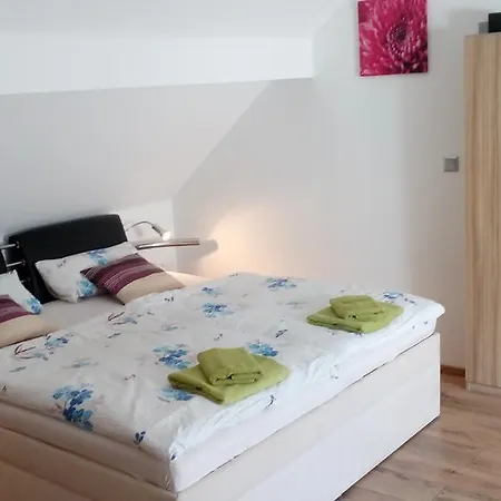 Fialka * Třeboň
