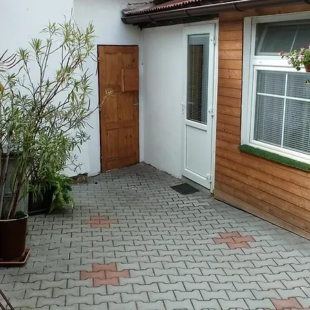 Fialka Třeboň