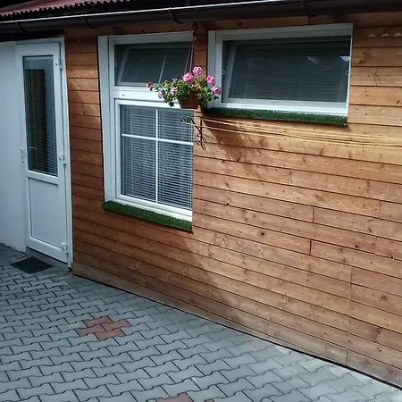 Fialka * Třeboň