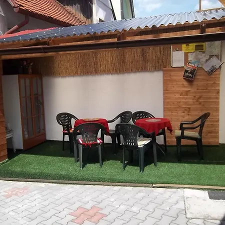 Fialka Třeboň
