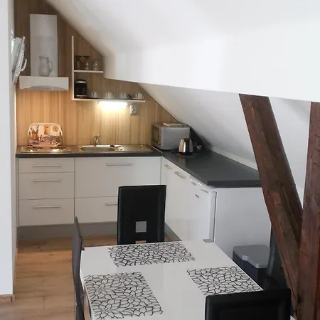 Fialka Třeboň