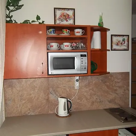 Fialka * Třeboň