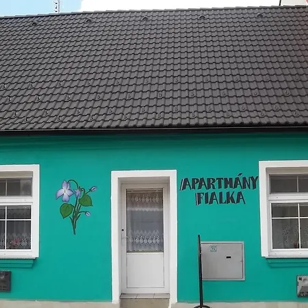 Fialka Třeboň
