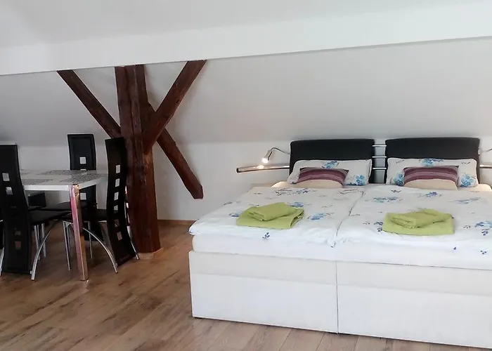 Fialka Třeboň