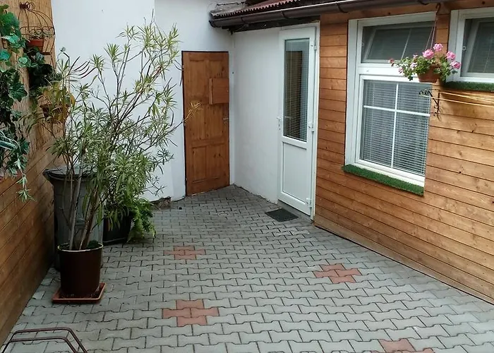 Fialka Třeboň